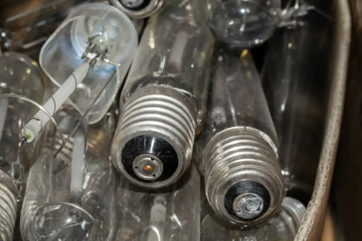 Подвалы и склады школ таили опасность для учеников в области Жетысу