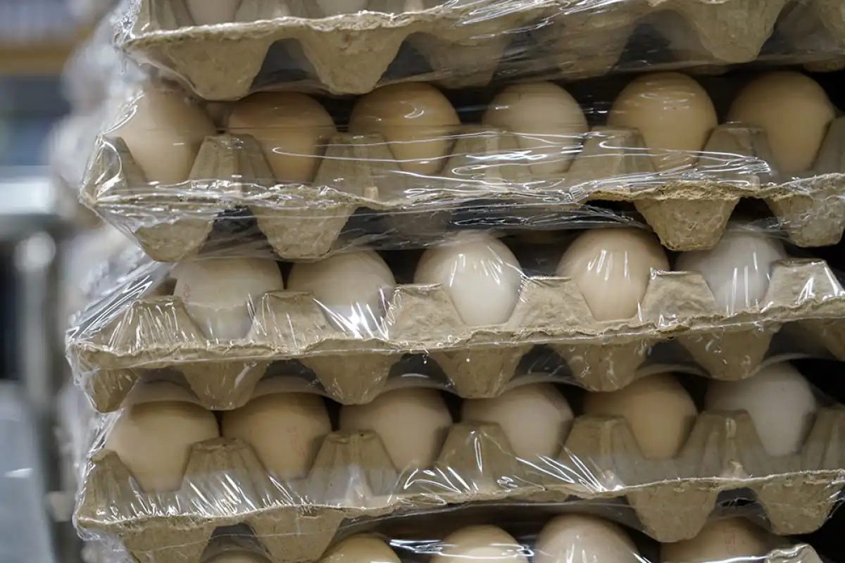 Цены на соцпродукты повторно накручивали актюбинские предприниматели