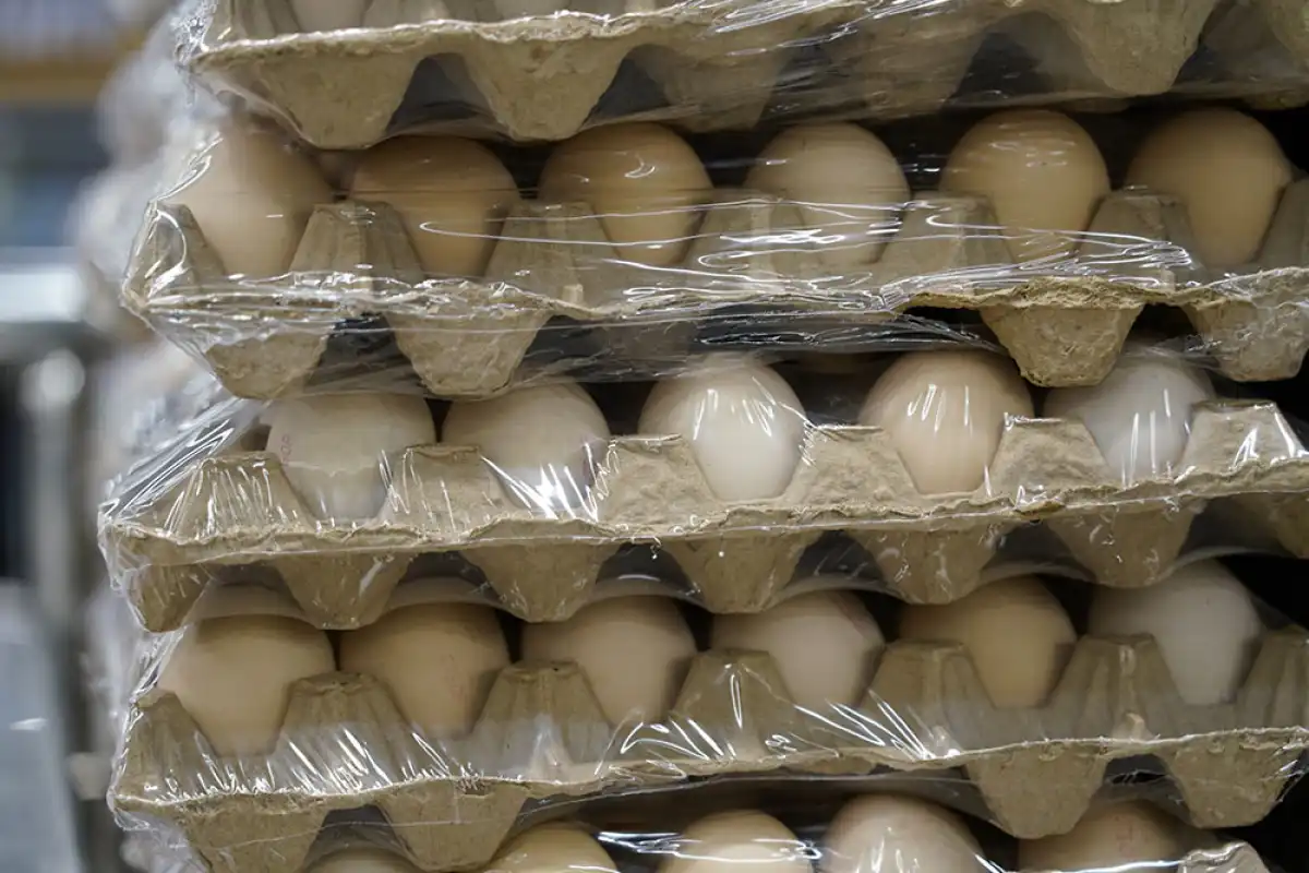 Казахстан ввел временный запрет на импорт куриных яиц