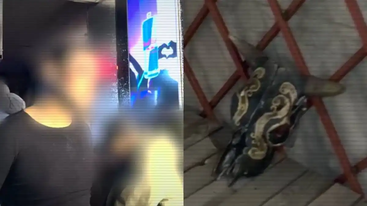 Продажа младенцев, рабство и элитный эскорт – криминальные схемы пресекли в Казахстане