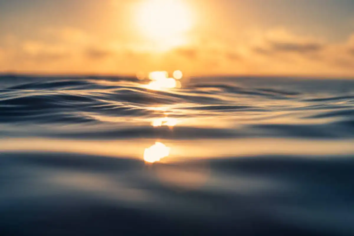 Глава государства призвал к незамедлительным мерам по спасению Арала и Каспия