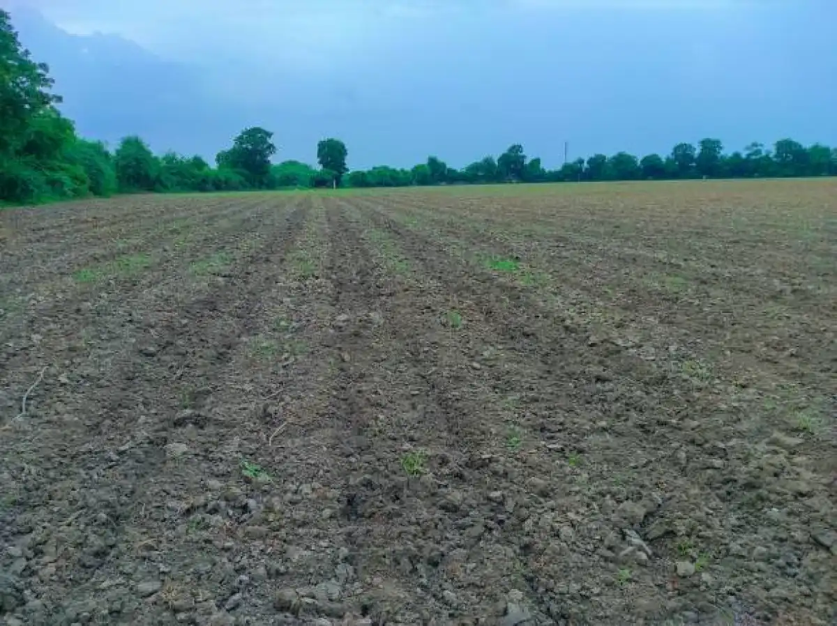 900 гектаров неиспользуемых сельхозугодий изъяли в Кызылординской области