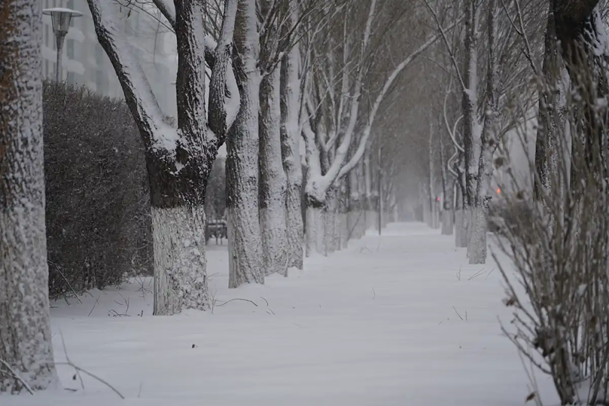 Школьников Астаны перевели на удаленку во вторую смену