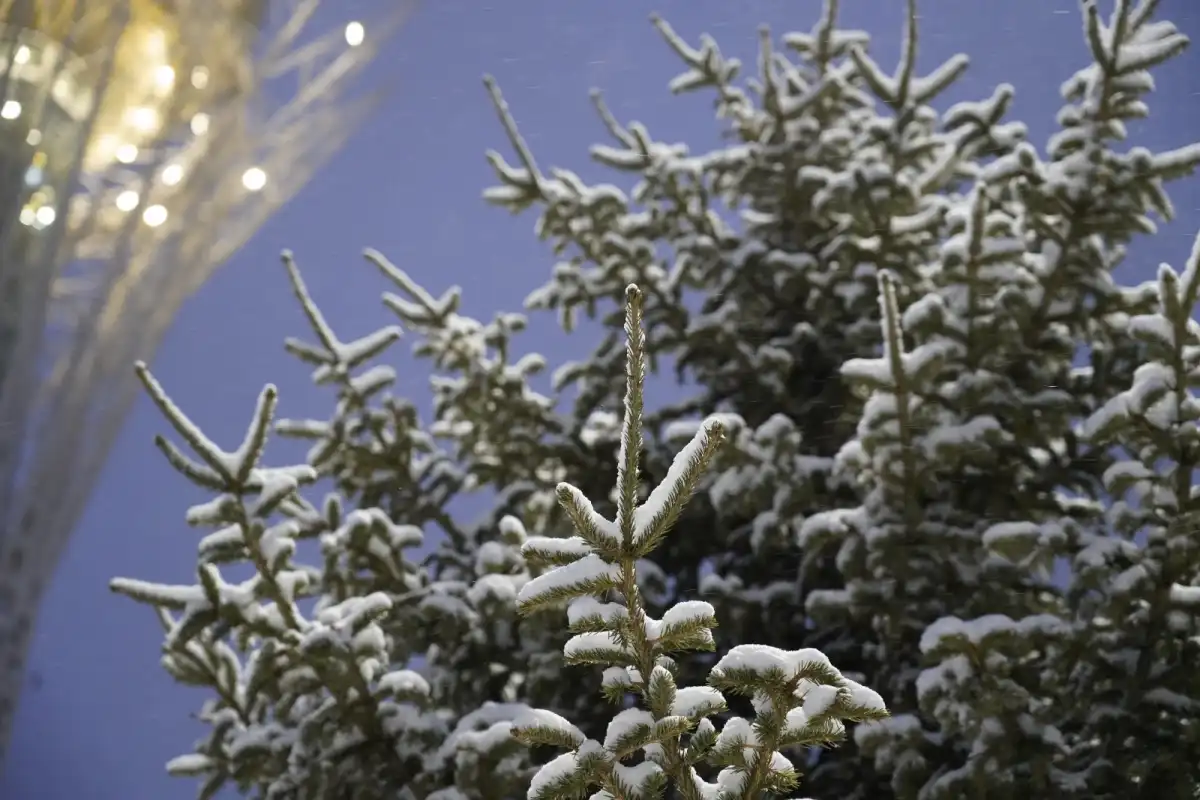 Низовую метель и холод до −13 °C обещают сегодня в Астане