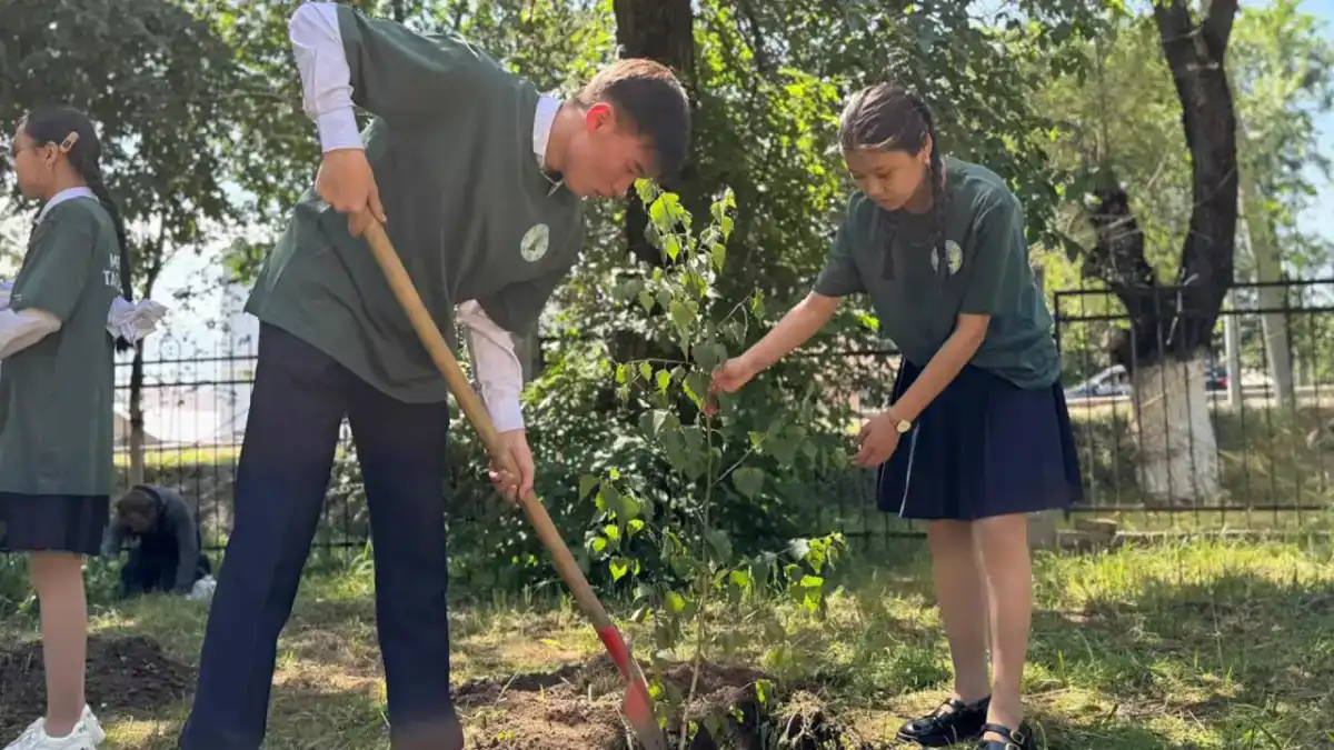 Высажено 1,5 млрд сеянцев: как в Казахстане восстанавливают леса и борются с опустыниванием