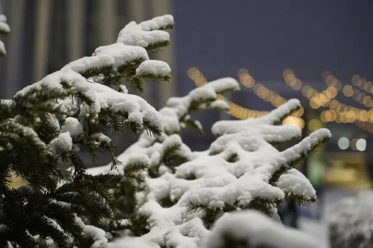 Резкое похолодание пришло в столицу