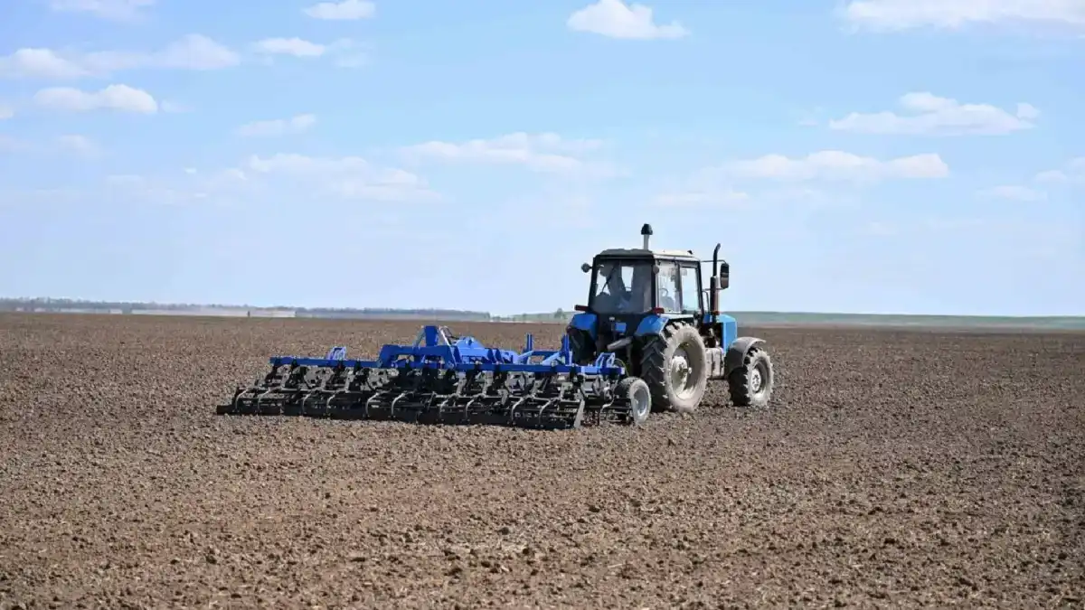 Президент: За 10 лет валовая продукция сельского хозяйства выросла в 2,5 раза