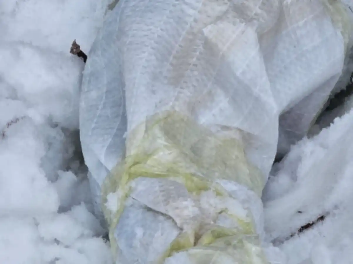 Заключенные выдали схрон оружия в Акмолинской области