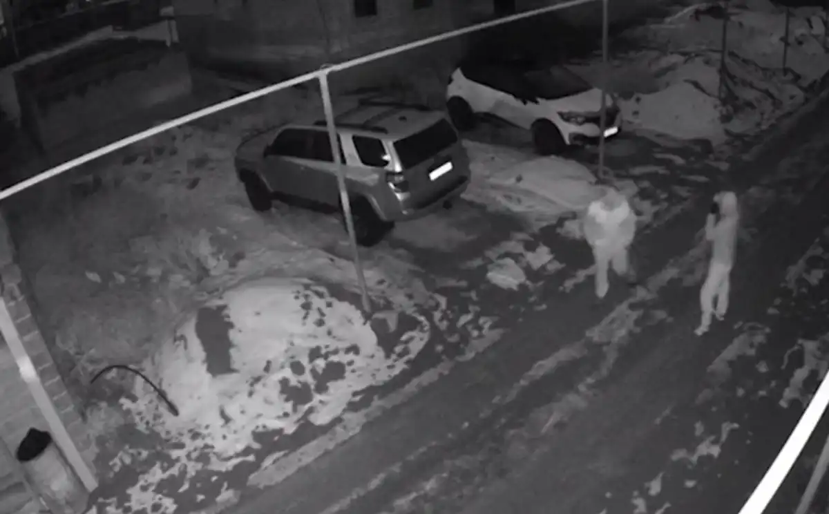 Серийных квартирных воров задержали в Алматы