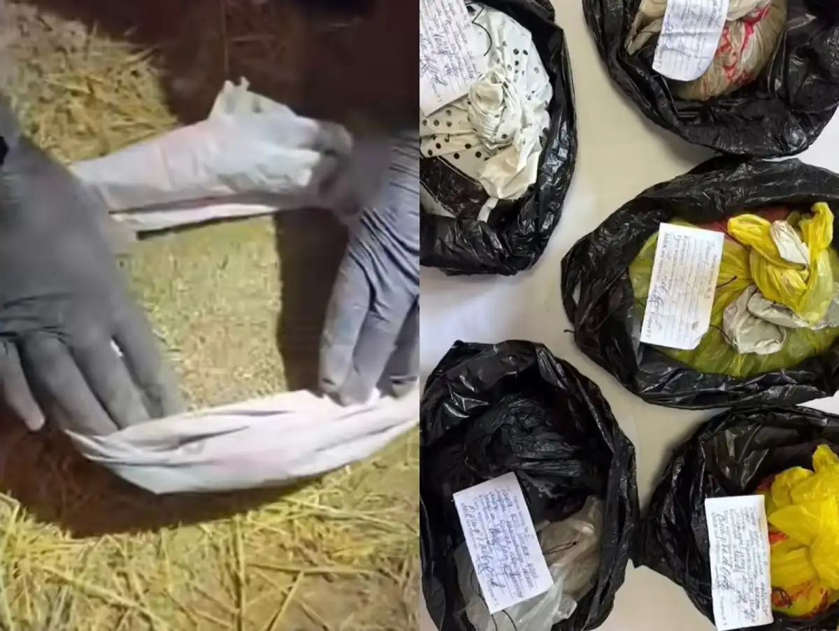 Крупную партию наркотиков изъяли в Алматы