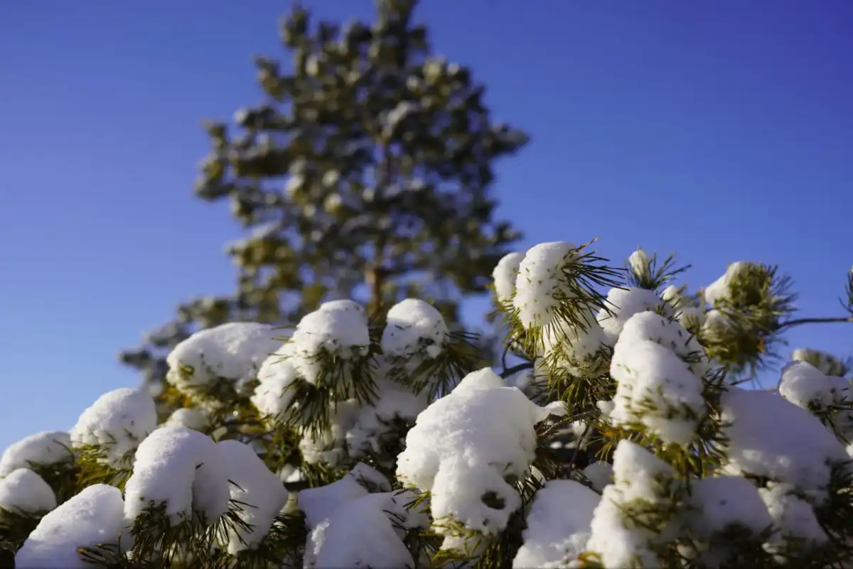 Дождь обещают в столице сегодня
