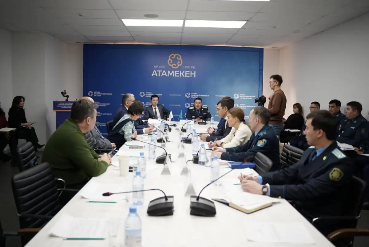 Рекламу холодного оружия выявили в казахстанском интернет-магазине