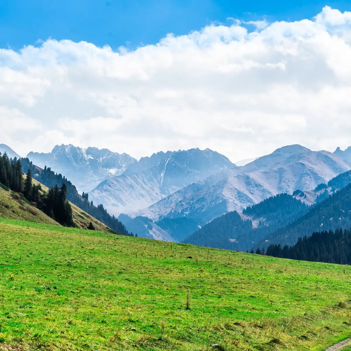 Миллионные долги выявили у нацпарка в Жетысу