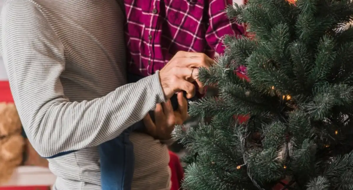 Алматинцев просят не выбрасывать старые ёлки, а сдать их в зоопарк