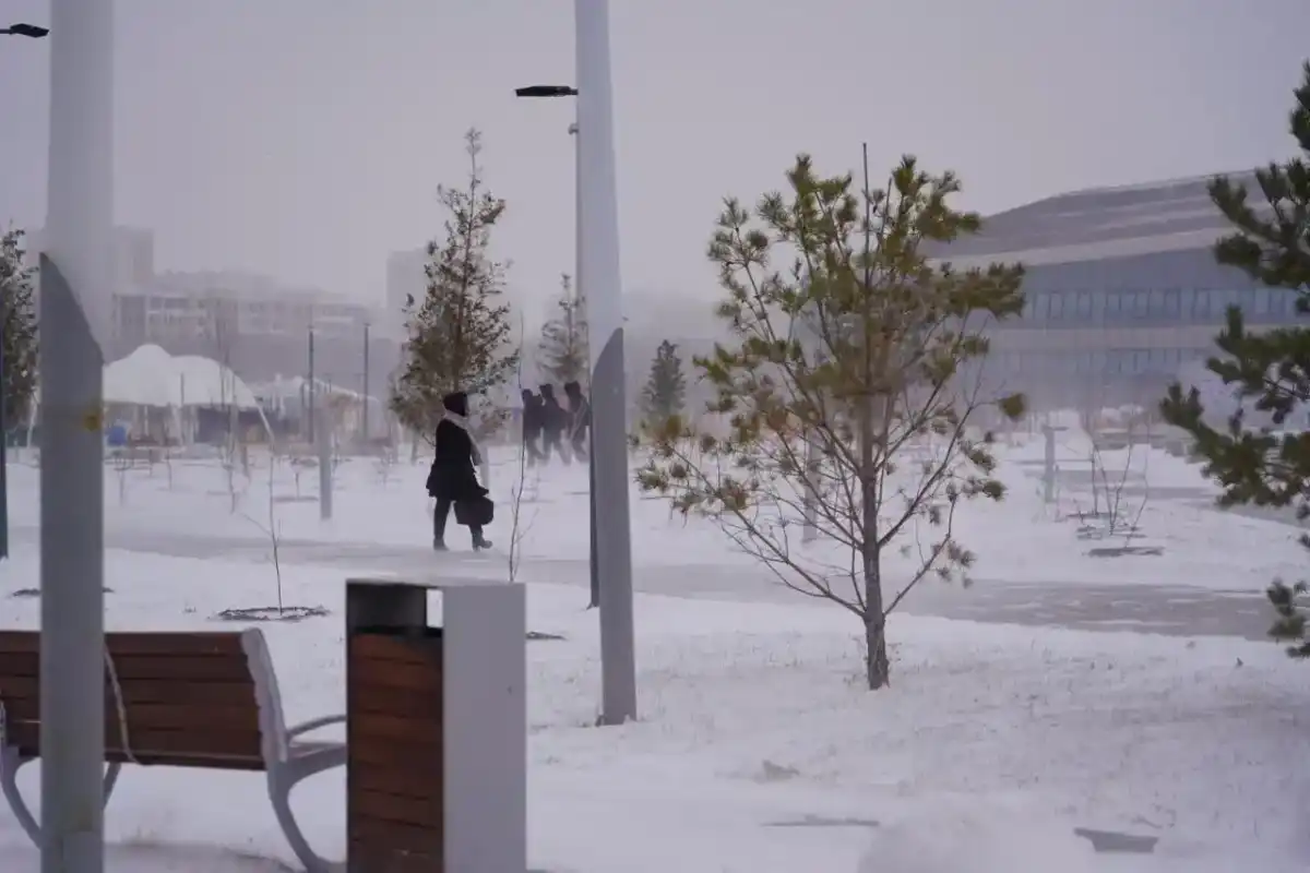 Школьников Астаны перевели на удалёнку из-за непогоды