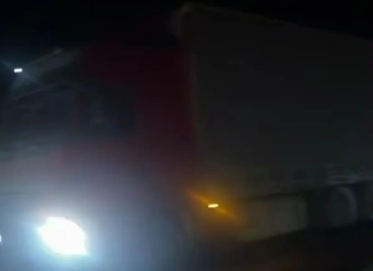 В Костанайской области грузовик с 40 животными съехал в кювет