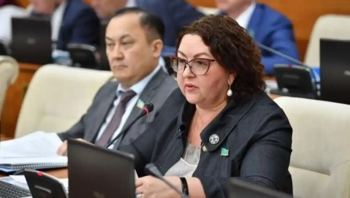 Парламентарий предложила централизовать финансирование кружков и секций через одно министерство