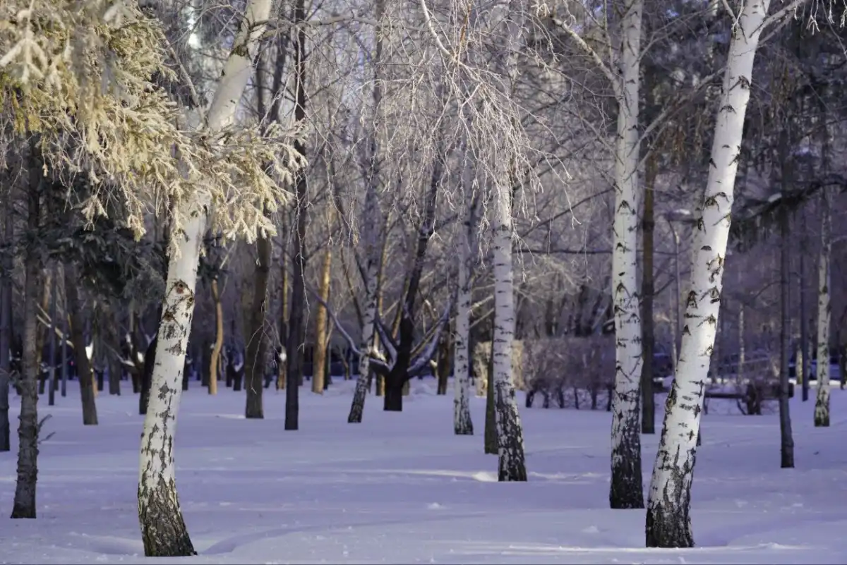 Отступят ли морозы в Астане