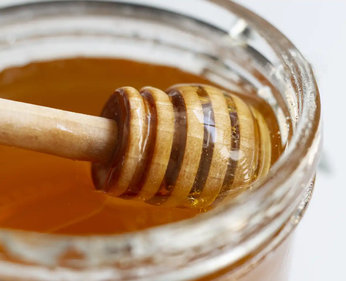 Казахстан развернул грузовик с мёдом на границе с Кыргызстаном