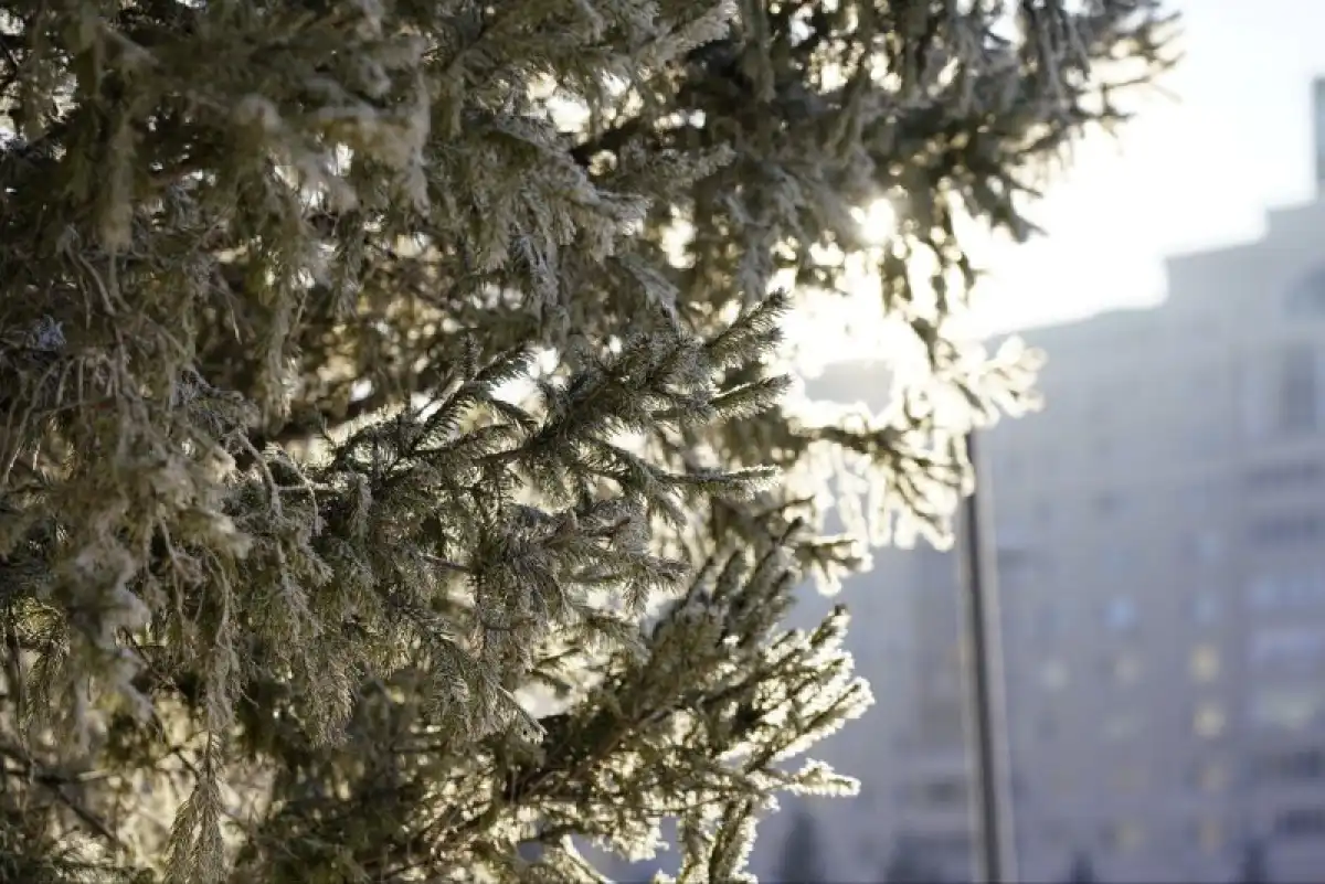 О погоде в Астане рассказали синоптики