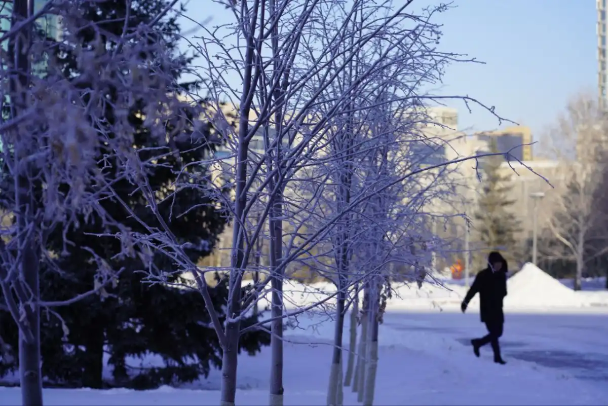 Какой будет погода в столице сегодня
