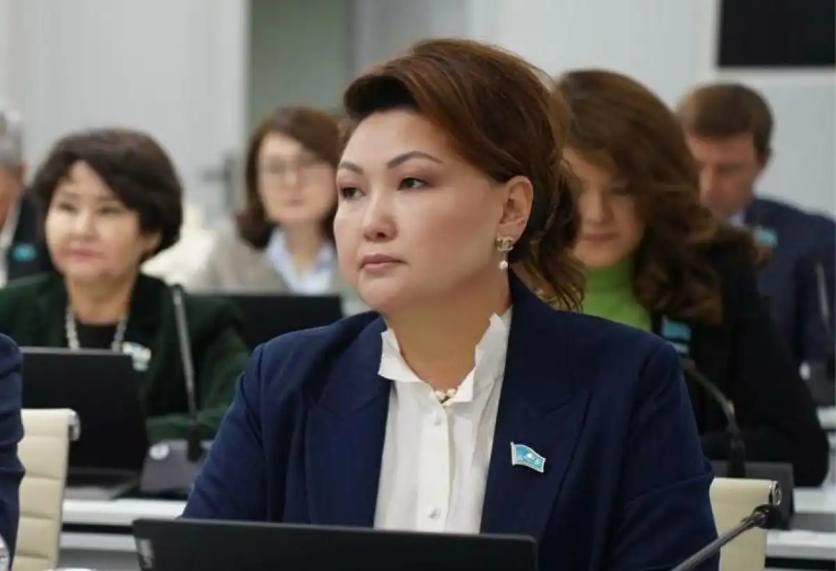 Салтанат Дженалаева: Главная цель - обеспечение эффективности государственных институтов