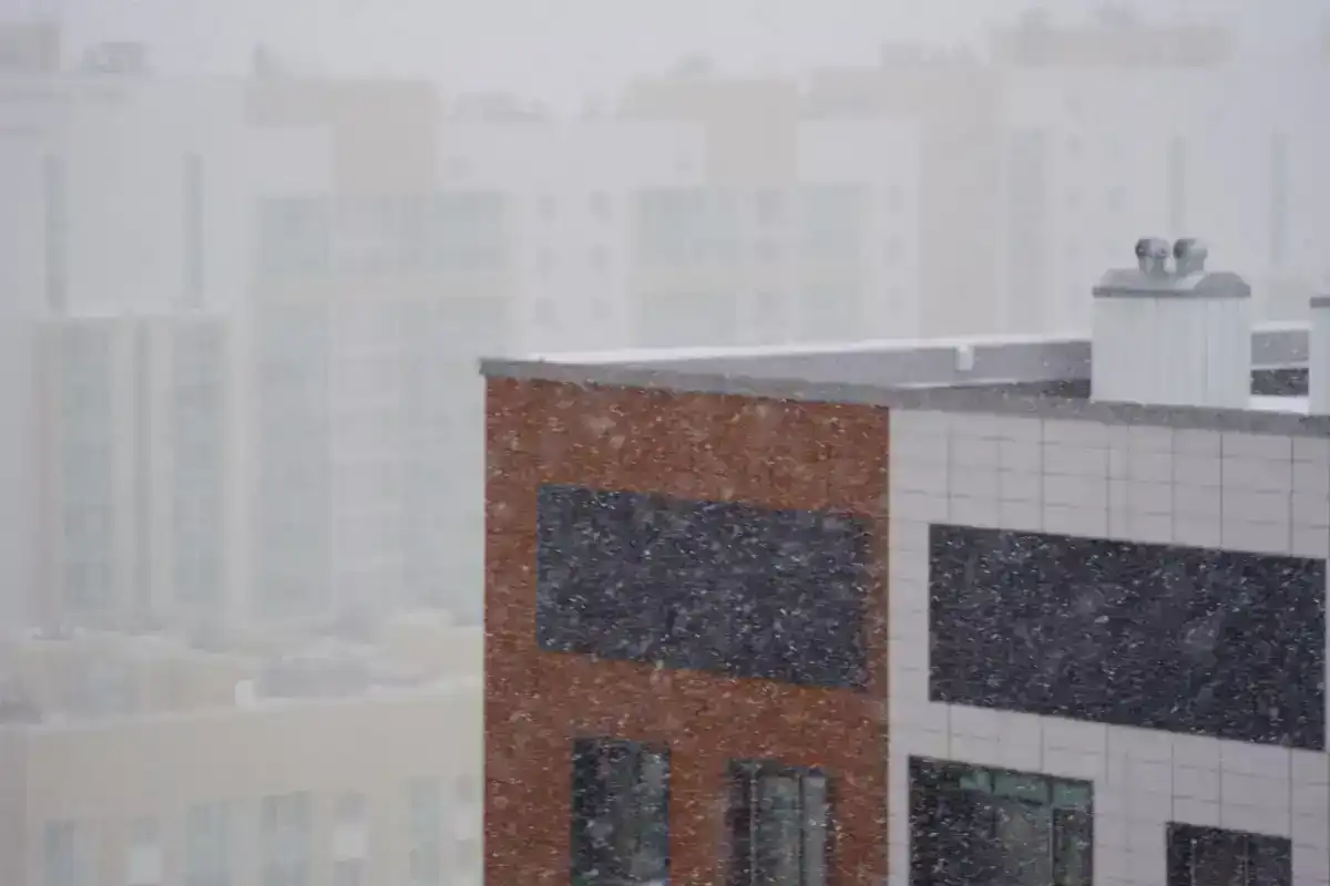 Метель ожидается в Астане 24 января