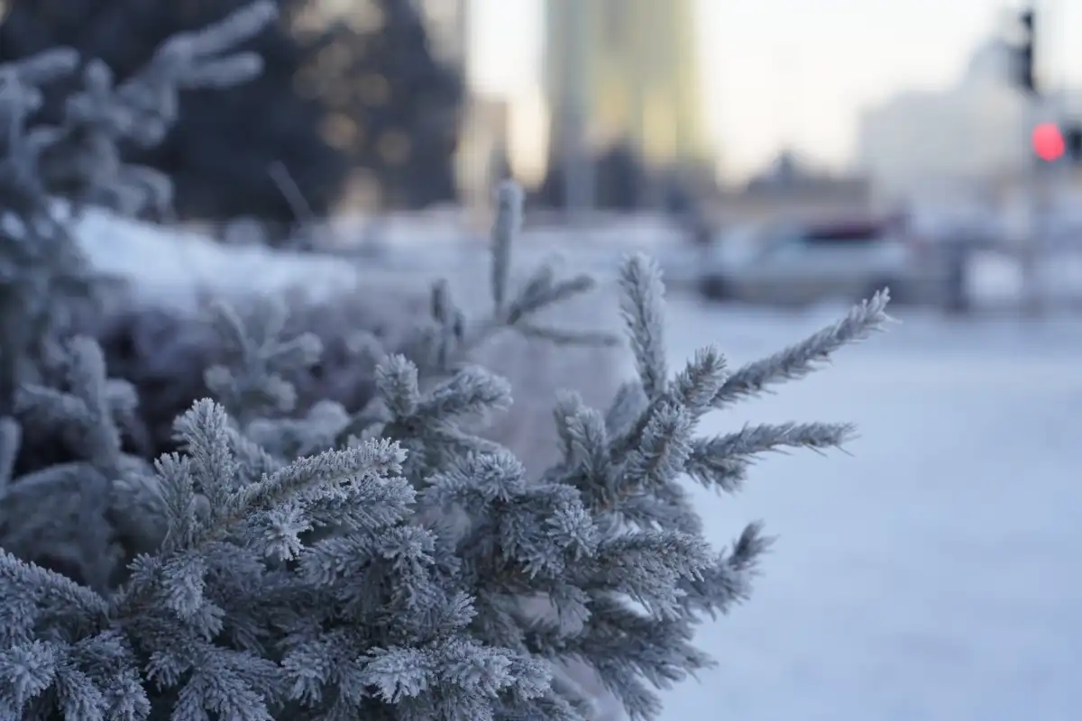 Какой будет погода в столице сегодня