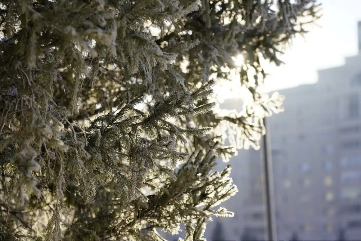 Потепление прогнозируют в Астане