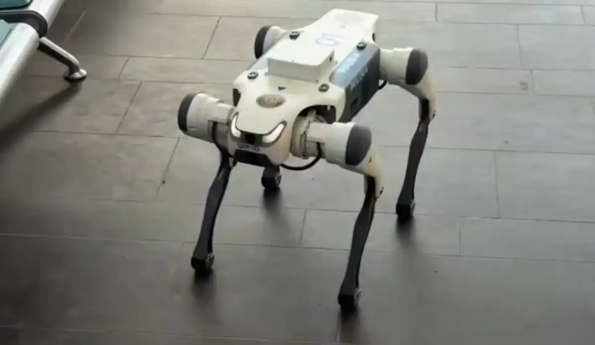 Роботы-собаки патрулируют общественные места Астаны (ВИДЕО)
