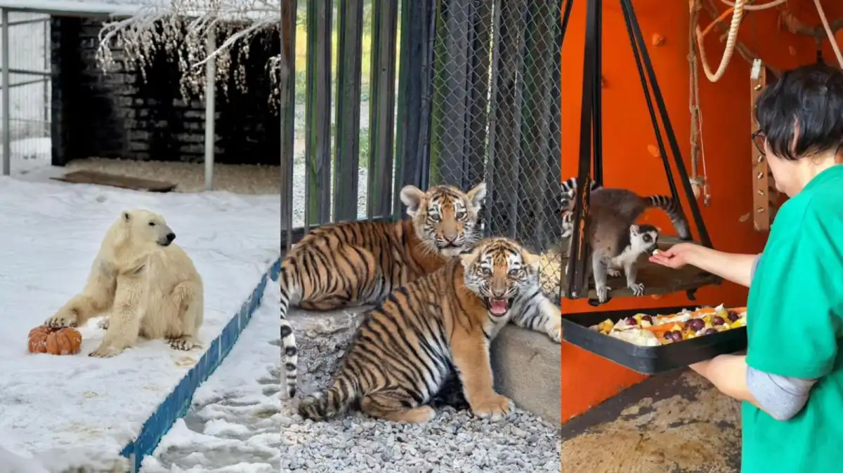 Алматинский зоопарк пополнился редкими видами животных