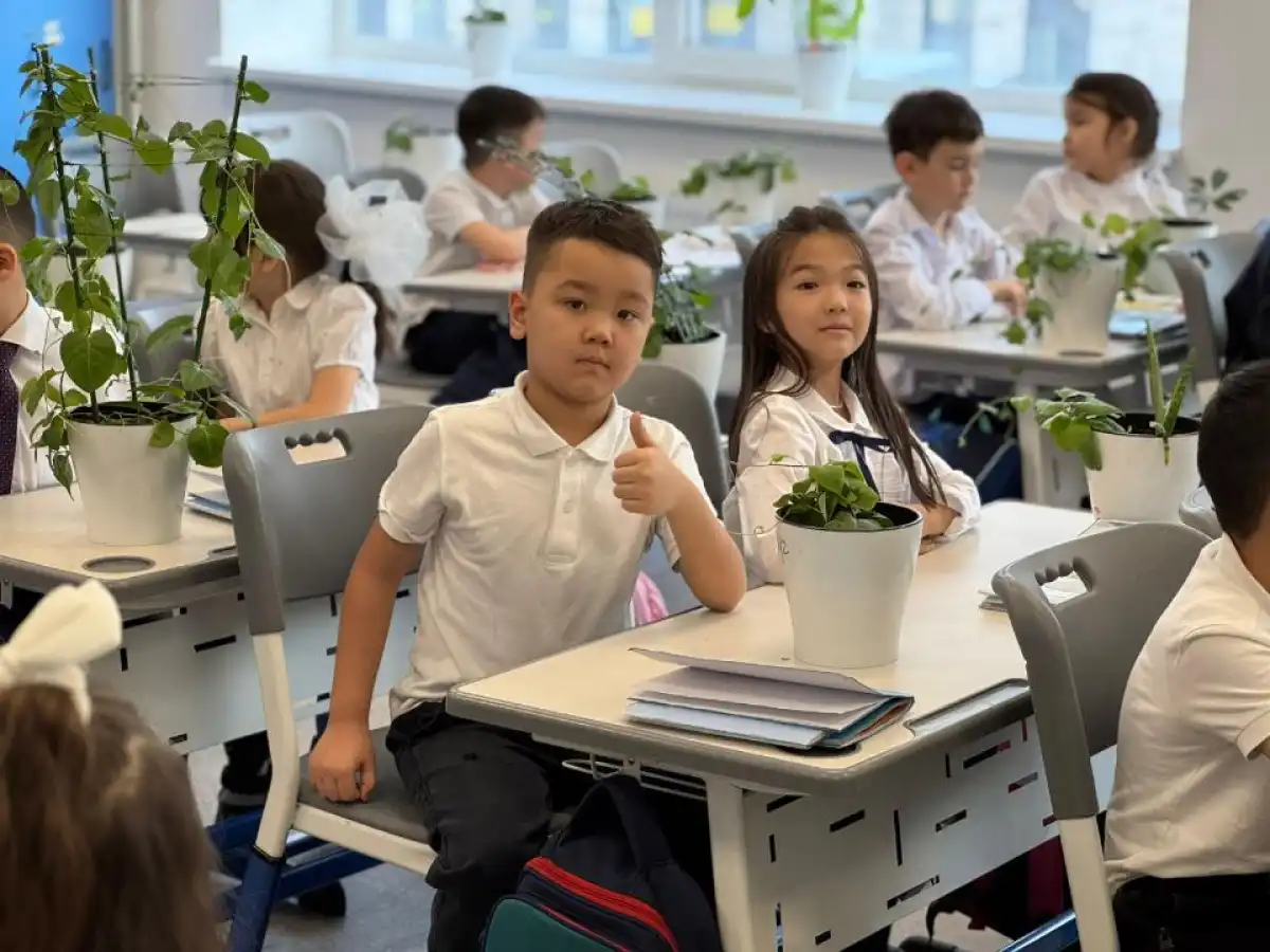 Проект «От ростка к фитоклассу» презентовали в столичной школе