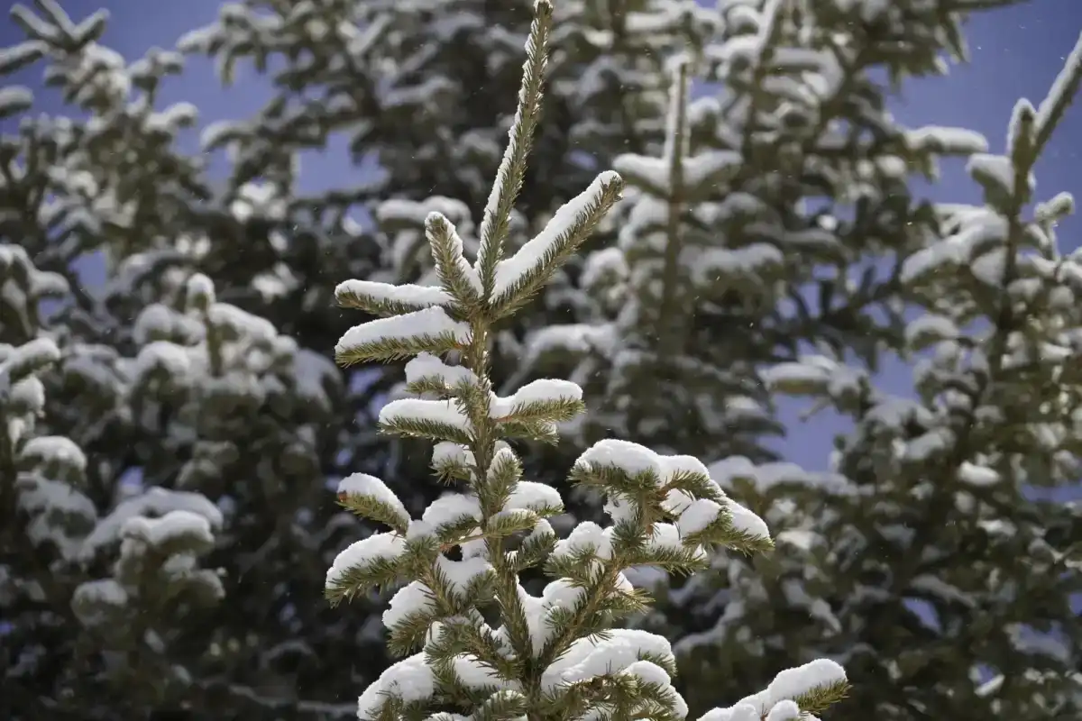 Какой будет погода в Астане сегодня