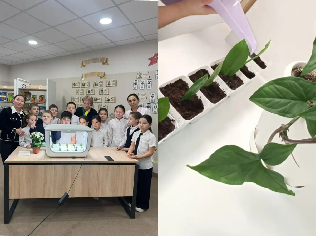 Столичные школьники выращивают растения в мини-теплице