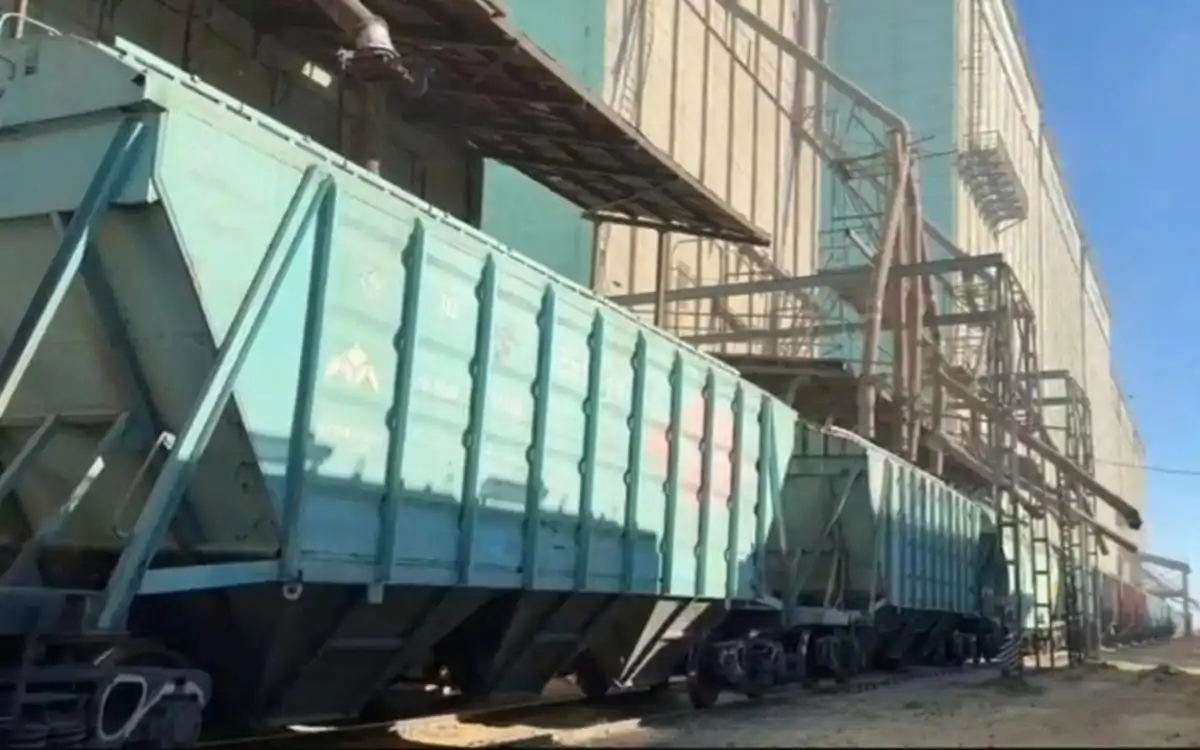 Казахстан экспортироват 5,8 млн тонн зерна нового урожая