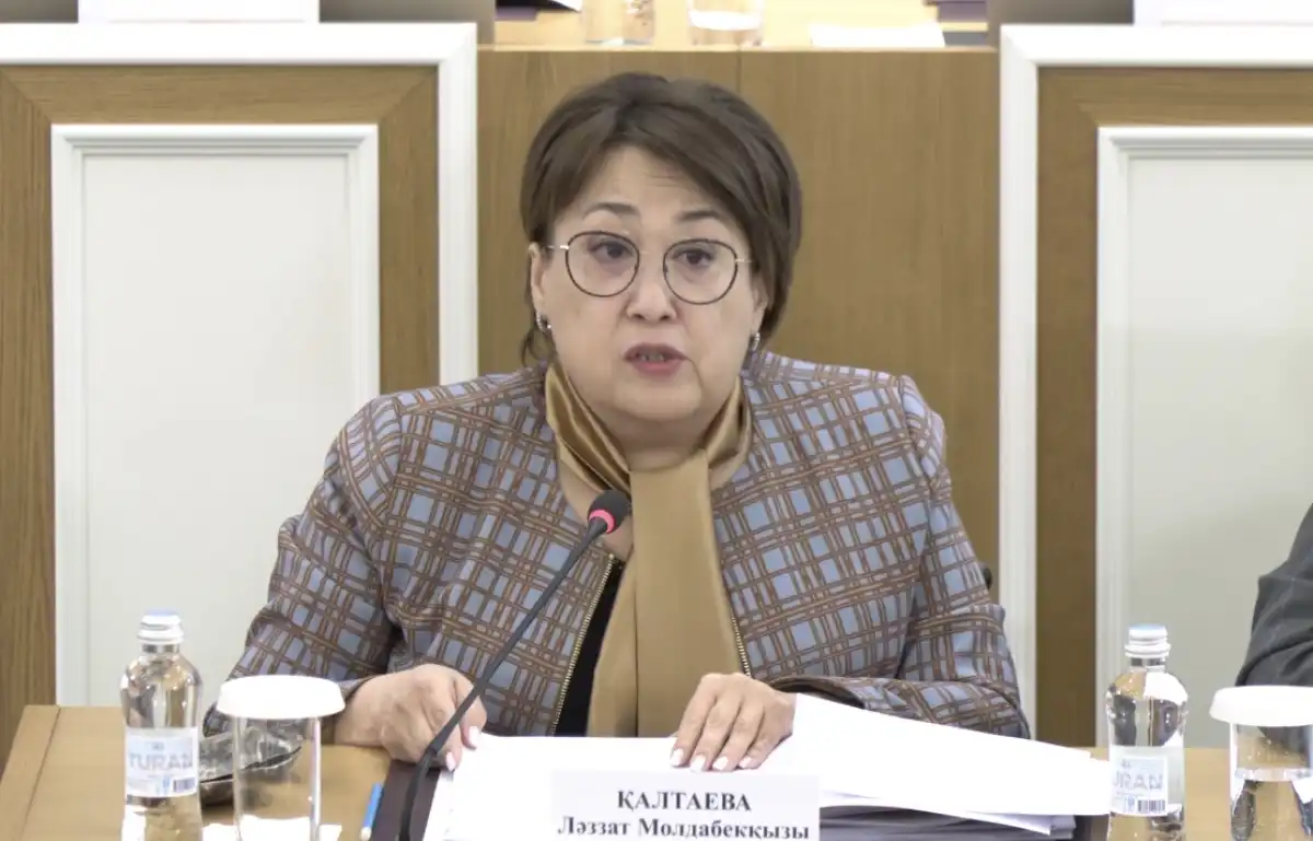 Текст новой Конституции предложили написать шрифтом Брайля