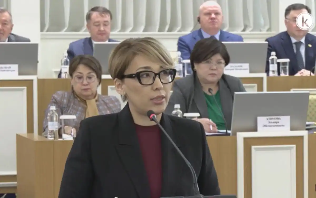 Проект новой Конституции закрепляет права граждан в цифровой среде — Еркежан Кунтуган