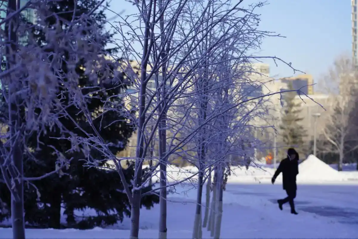 Метель и гололед прогнозируют в столице сегодня