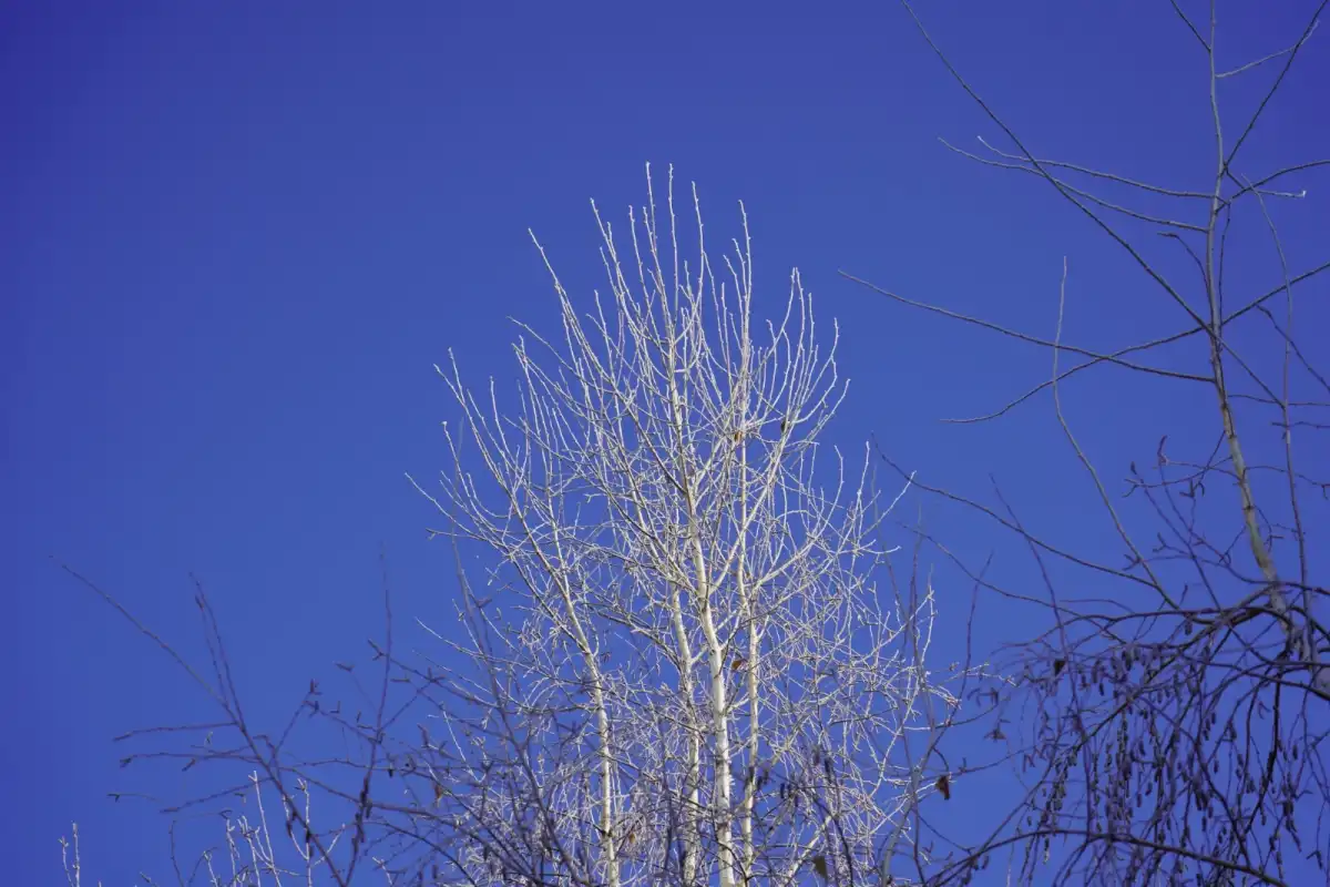 Какая погода ожидается сегодня в Астане