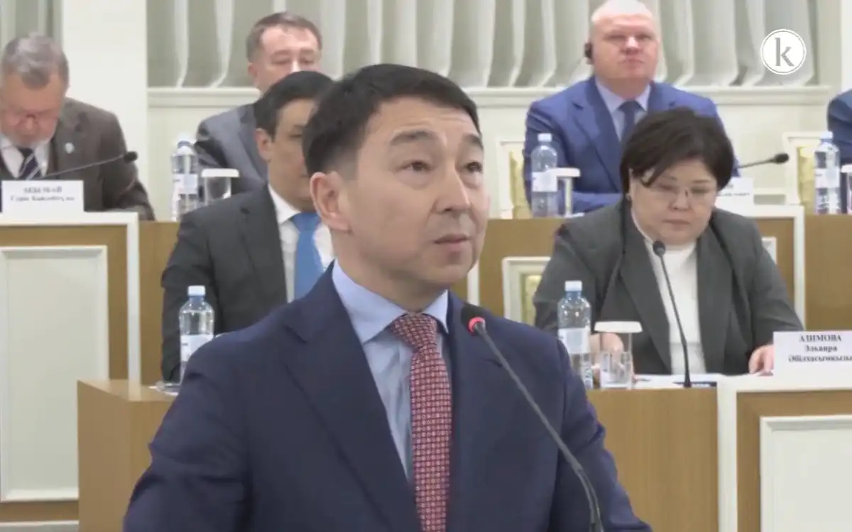 Волонтерская деятельность будет закреплена на конституционном уровне в Казахстане