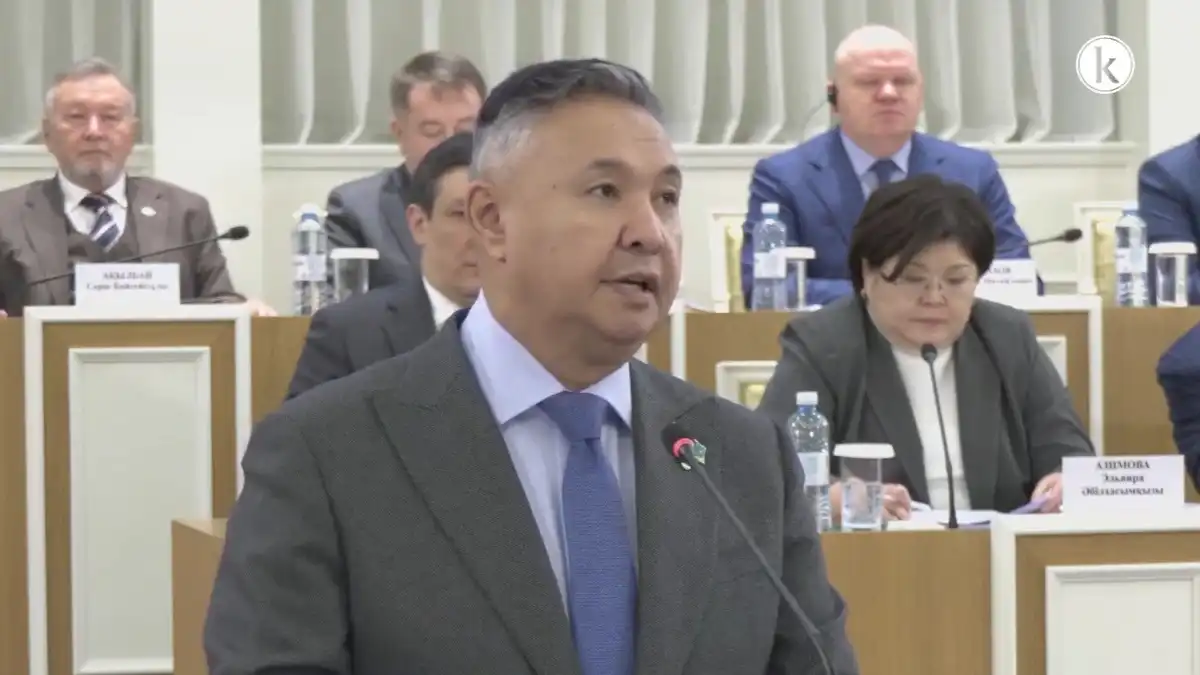 Защиту всех форм собственности предложили закрепить в Конституции РК