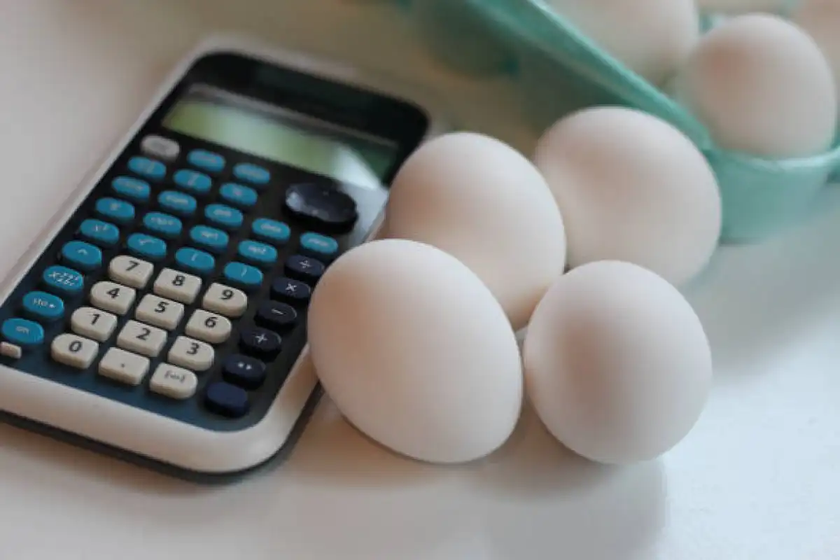 Незаконная наценка на соцпродукты двух компаний выявлена в Жетысу