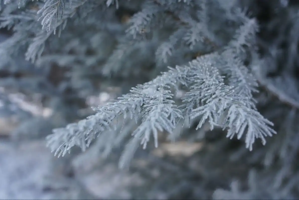 Мороз усилится в Астане