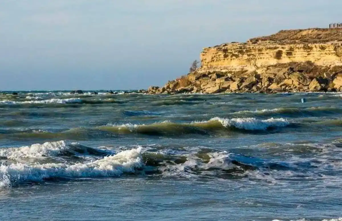 1,1 млрд тенге выделили на изучение и сохранение Каспия