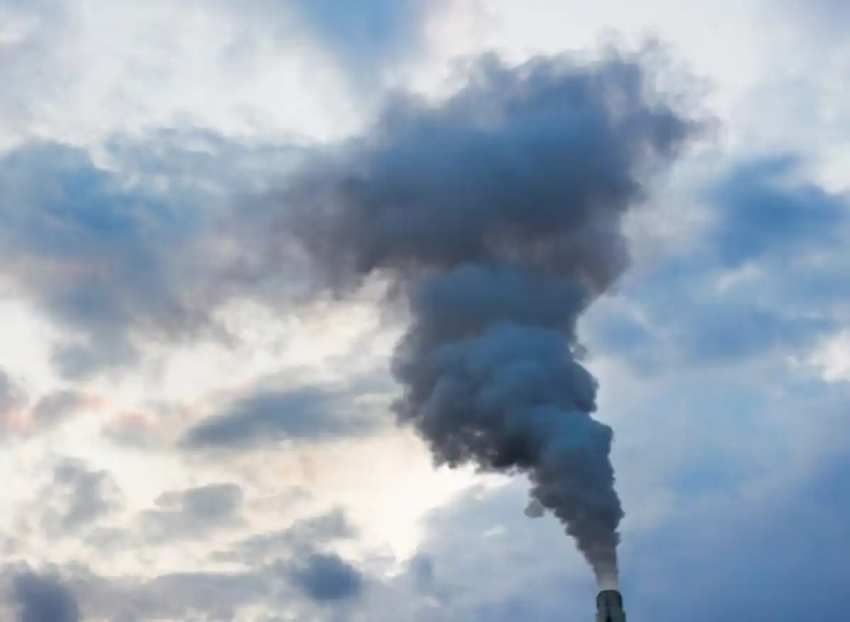 21 экологического нелегала выявили за год в Костанайской области