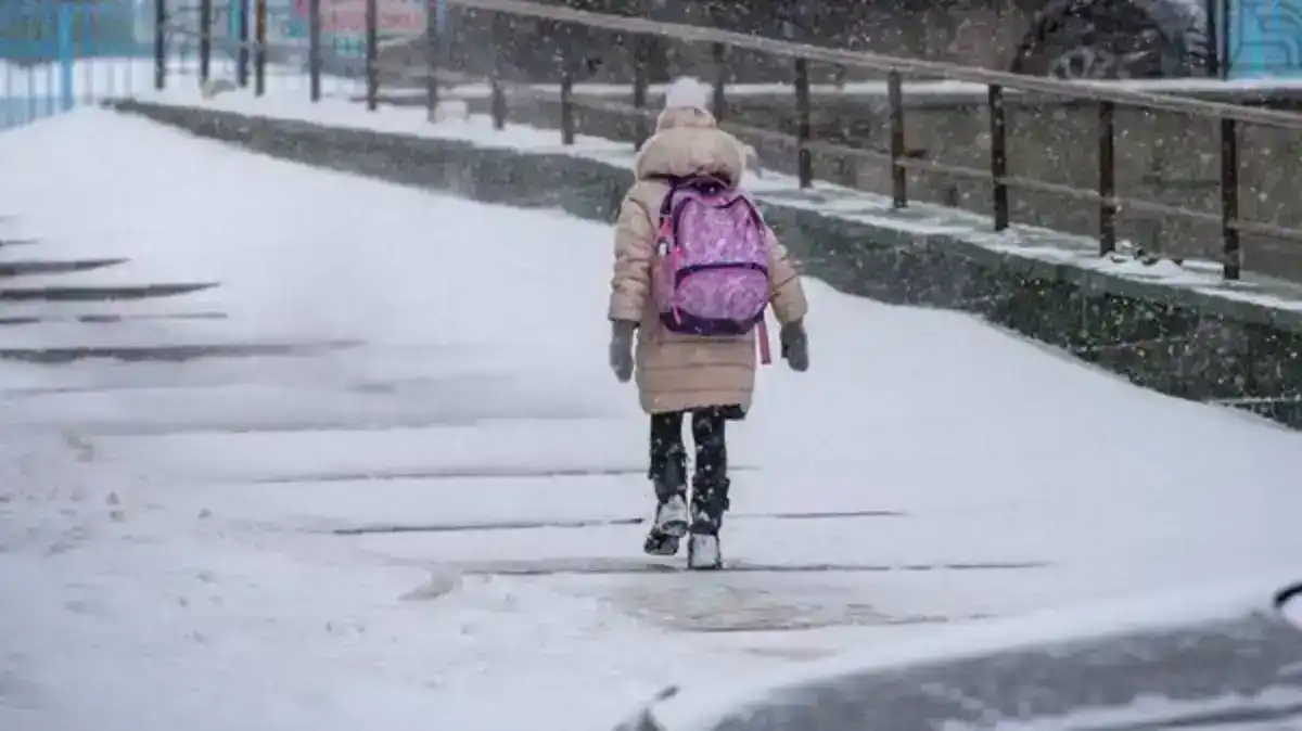 Школьников Астаны перевели на удаленку во вторую смену