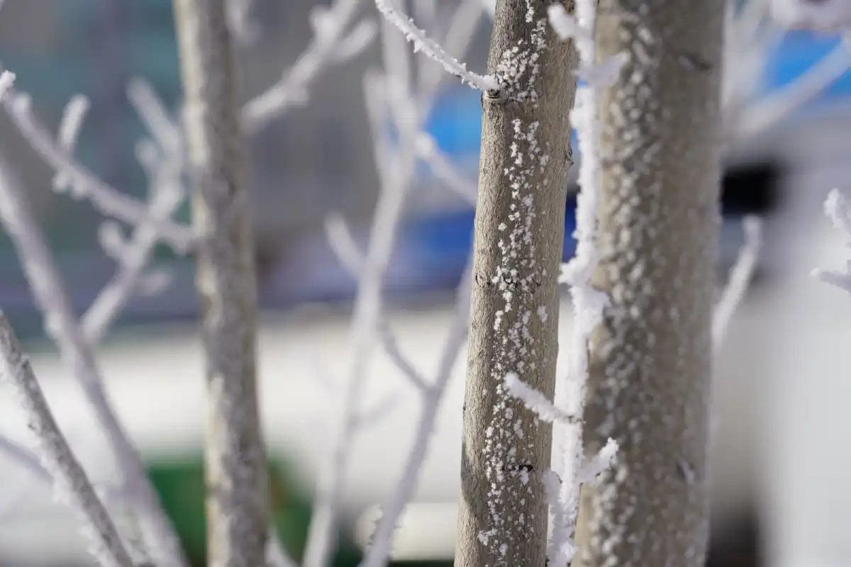 Какой будет погода в последний день зимы в Астане