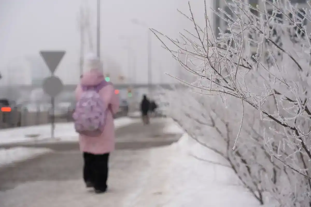 Из-за похолодания в Астане учащихся второй смены перевели на «удаленку»