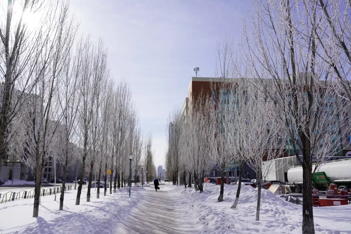 Снежная и ветреная погода прогнозируется в Астане