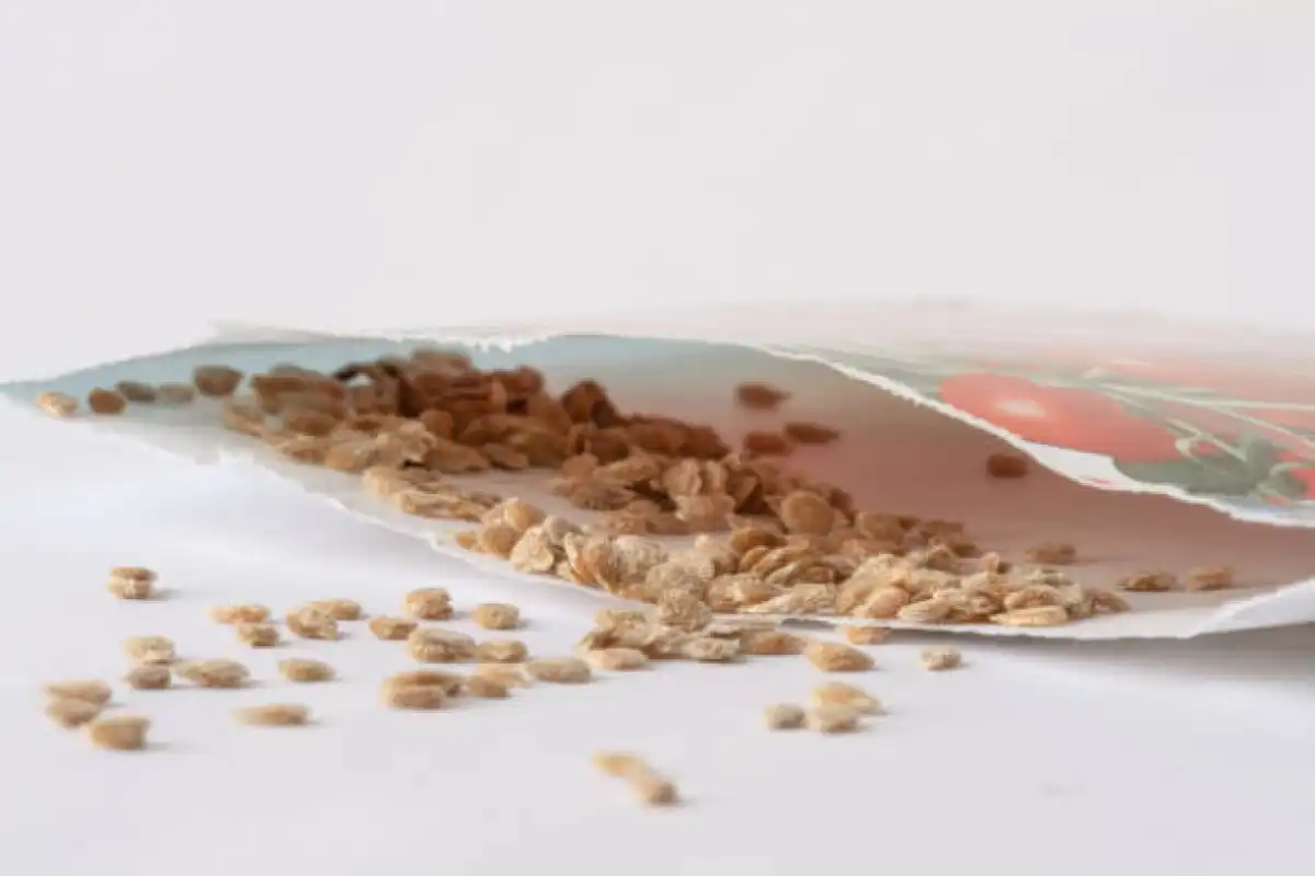 Опасный вирус обнаружен в томатах, ввезённых в Казахстан